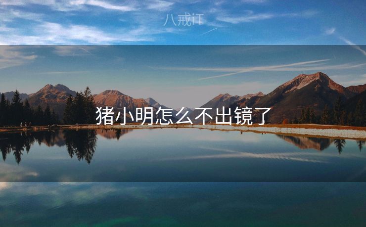 猪小明怎么不出镜了