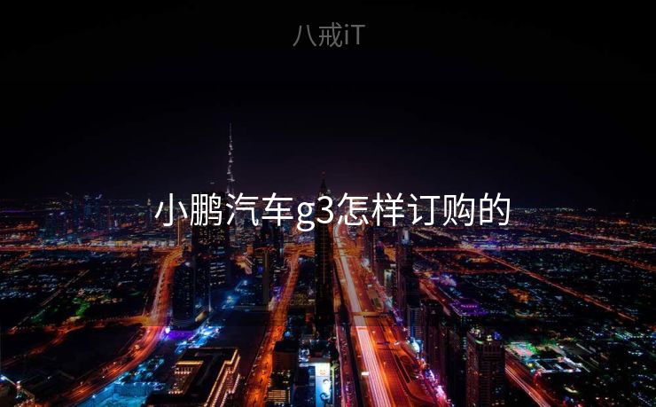 小鹏汽车g3怎样订购的 小鹏汽车g3怎样订购的