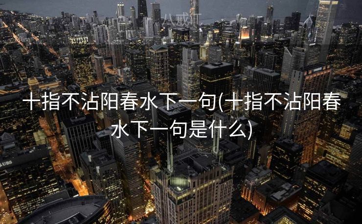 十指不沾阳春水下一句(十指不沾阳春水下一句是什么)