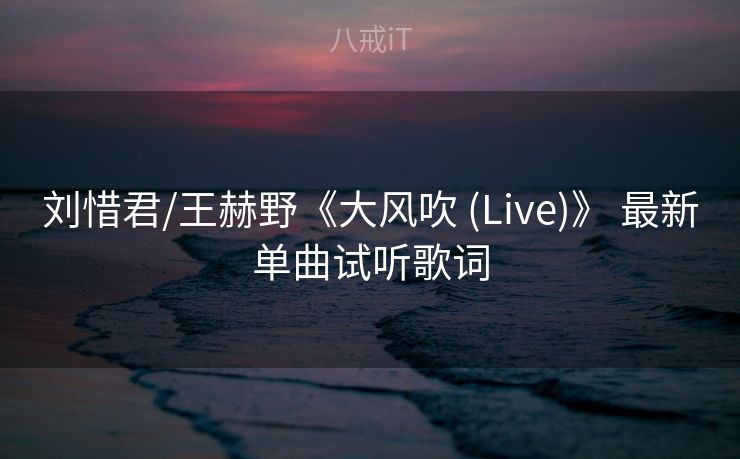 刘惜君/王赫野《大风吹 (Live)》 最新单曲试听歌词 刘惜君/王赫野《大风吹 (Live)》 最新单曲试听歌词