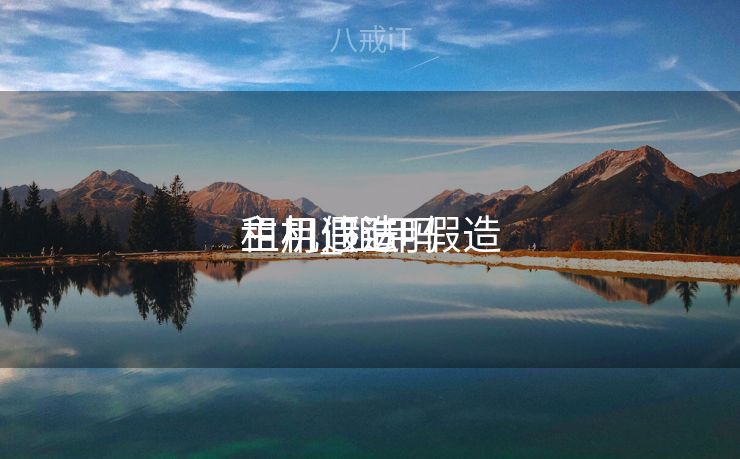 租用假造
主机_租用假造
主机违法吗