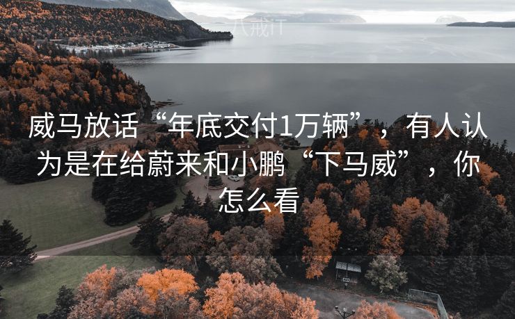 威马放话“年底交付1万辆”,有人认为是在给蔚来和小鹏“下马威”,你怎么看 威马放话“年底交付1万辆”,有人认为是在给蔚来和小鹏“下马威”,你怎么看