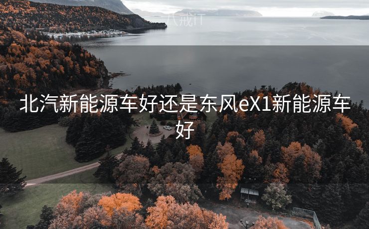 北汽新能源车好还是东风eX1新能源车好