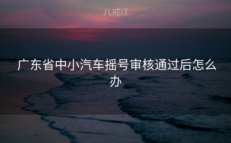  广东省中小汽车摇号审核通过后怎么办