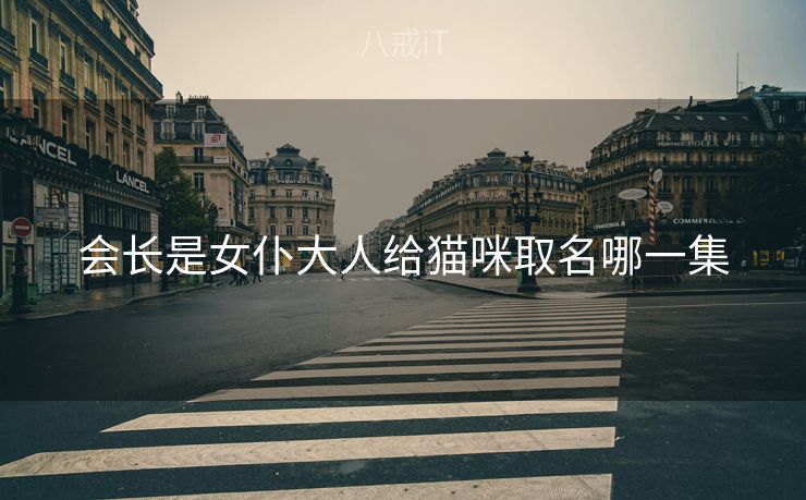 会长是女仆大人给猫咪取名哪一集 会长是女仆大人给猫咪取名哪一集