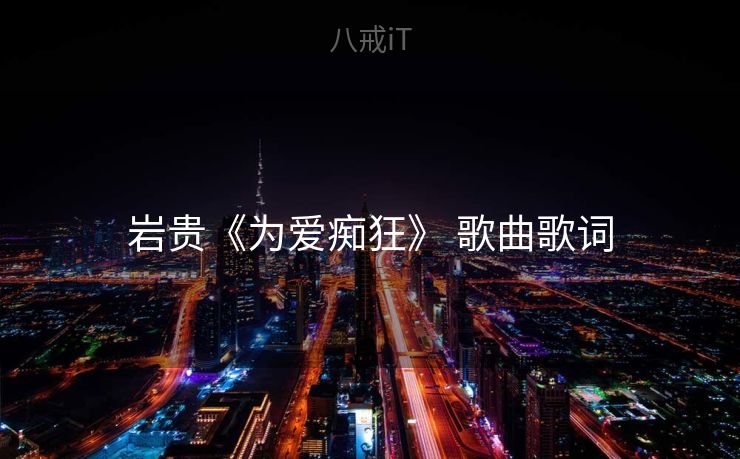 岩贵《为爱痴狂》 歌曲歌词