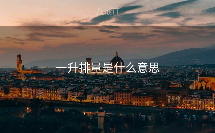 一升排量是什么意思