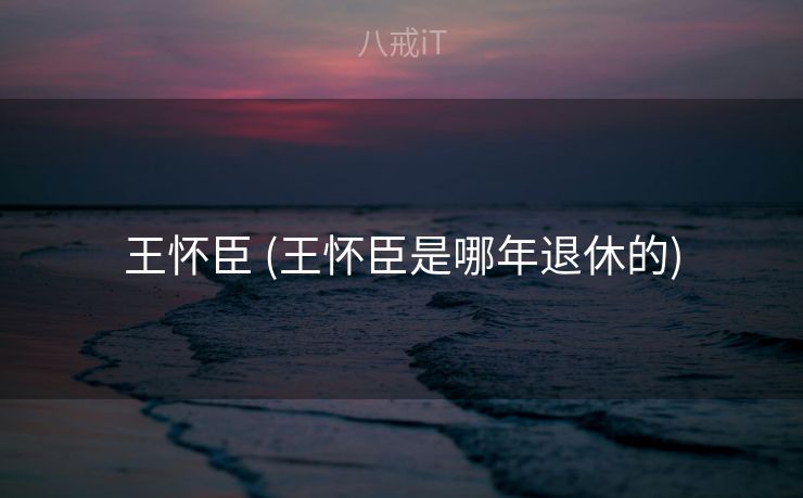 王怀臣 (王怀臣是哪年退休的)