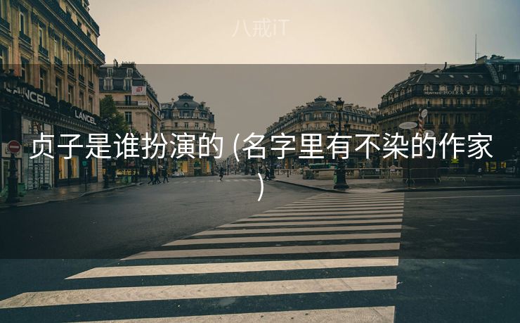 贞子是谁扮演的 (名字里有不染的作家)