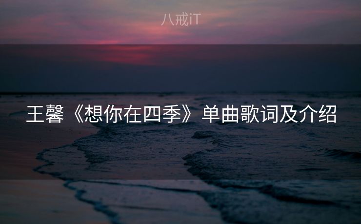 王馨《想你在四季》单曲歌词及介绍