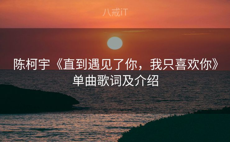 陈柯宇《直到遇见了你，我只喜欢你》单曲歌词及介绍