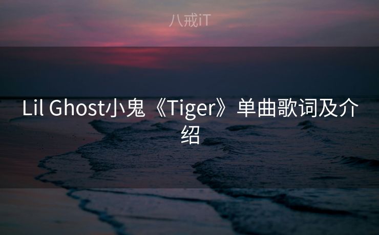Lil Ghost小鬼《Tiger》单曲歌词及介绍 Lil Ghost小鬼《Tiger》单曲歌词及介绍